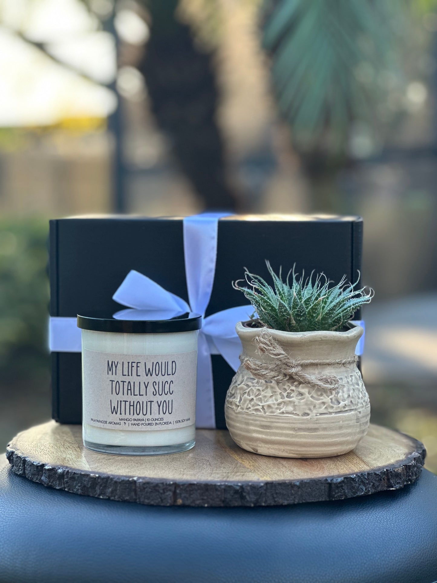 a small potted plant sitting on top of a table