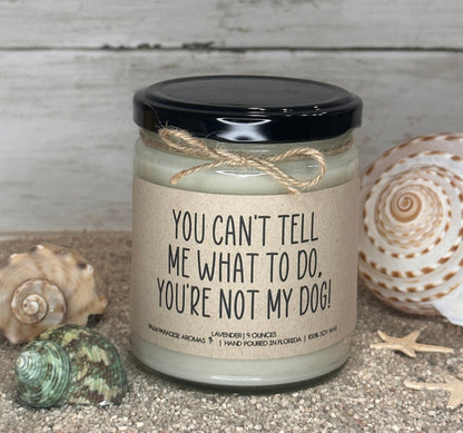 Scented candles, soy candles, Hand-poured candles, Decorative candles, Long-lasting candles, funny candles, palm paradise aromas, talc designs, Eco-friendly candles, gift sets, Handmade candles, candles relaxation, Candles home decor, Custom candles